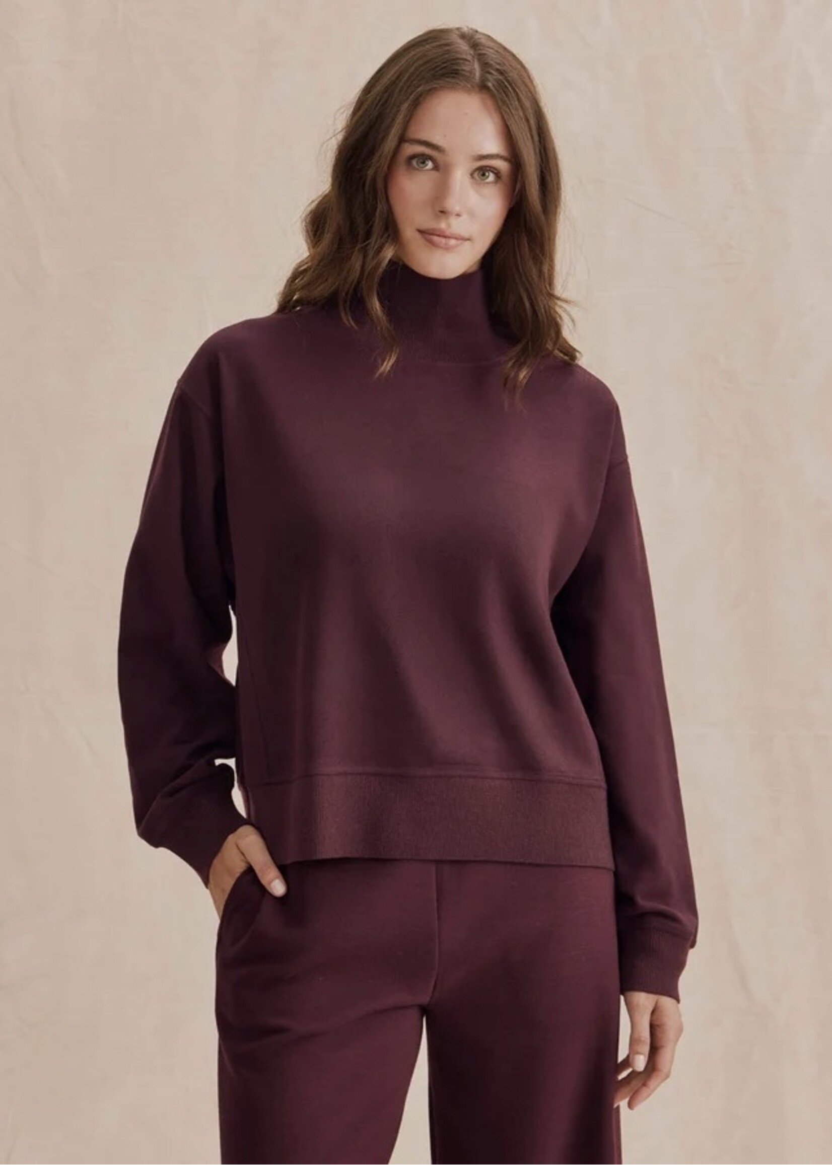 Splendid Splendid - Winslow Long Sleeve Mockneck