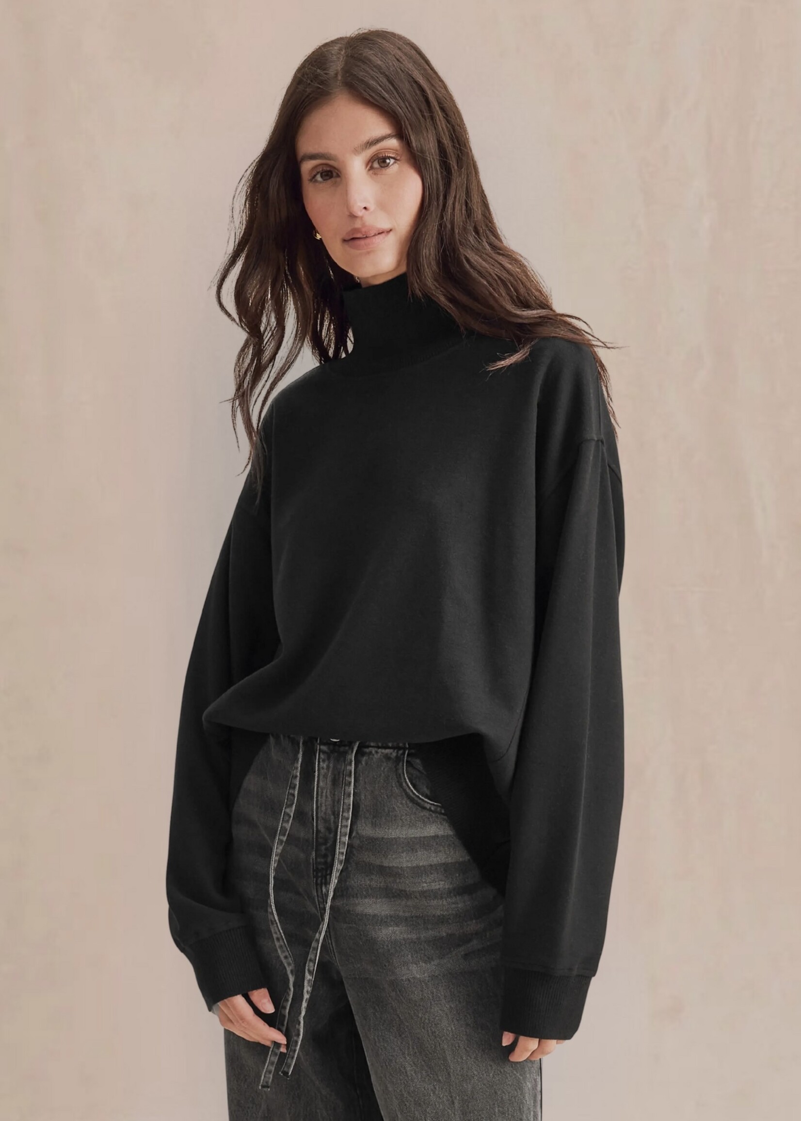 Splendid Splendid - Winslow Long Sleeve Mockneck