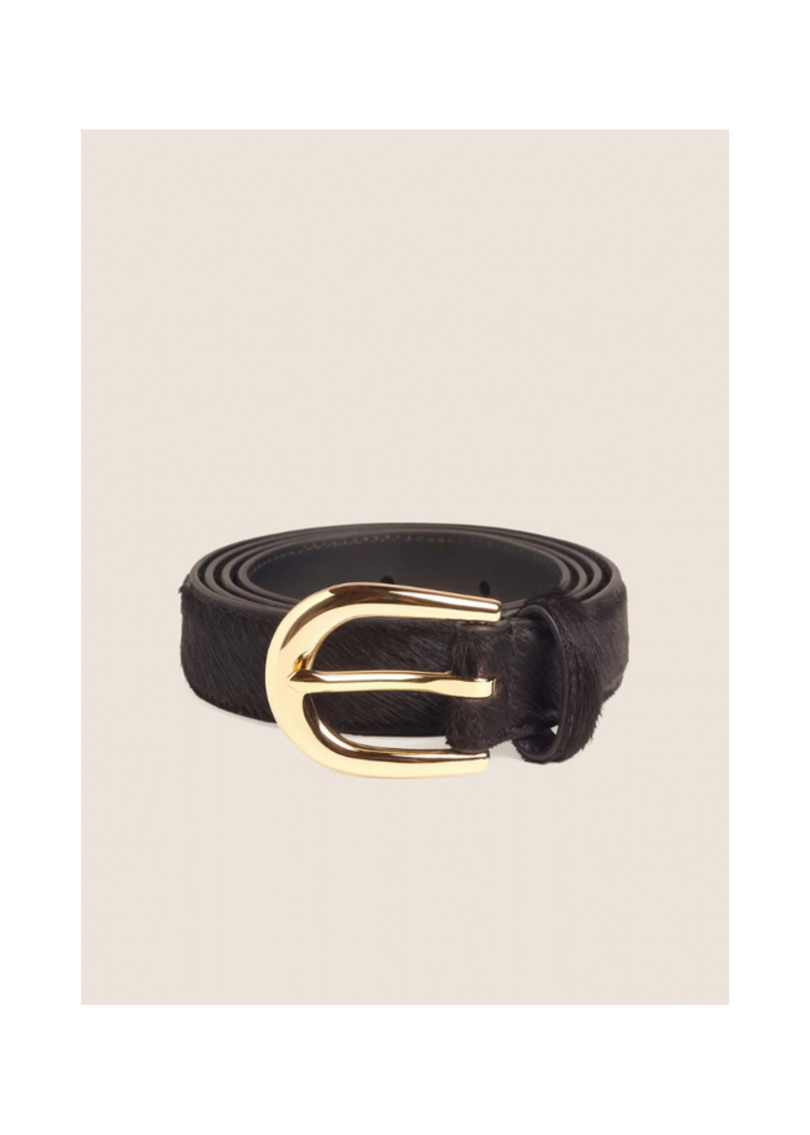 Favorite Daughter Favorite Daughter - Half Calf Favorite Belt