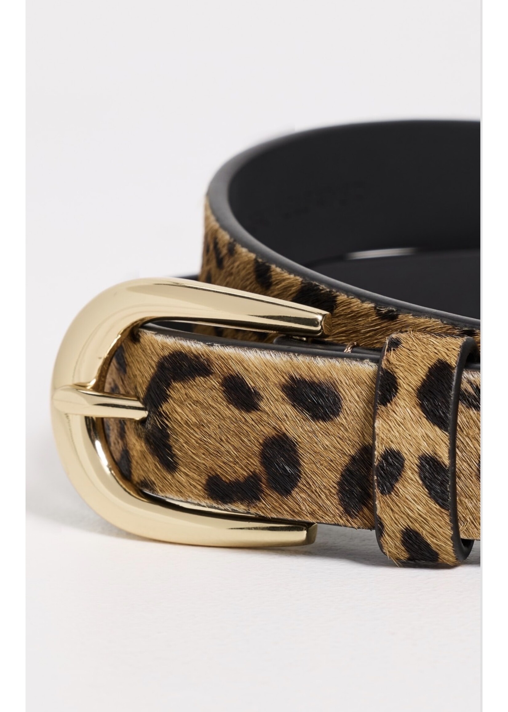 Favorite Daughter Favorite Daughter - Leopard Favorite Belt