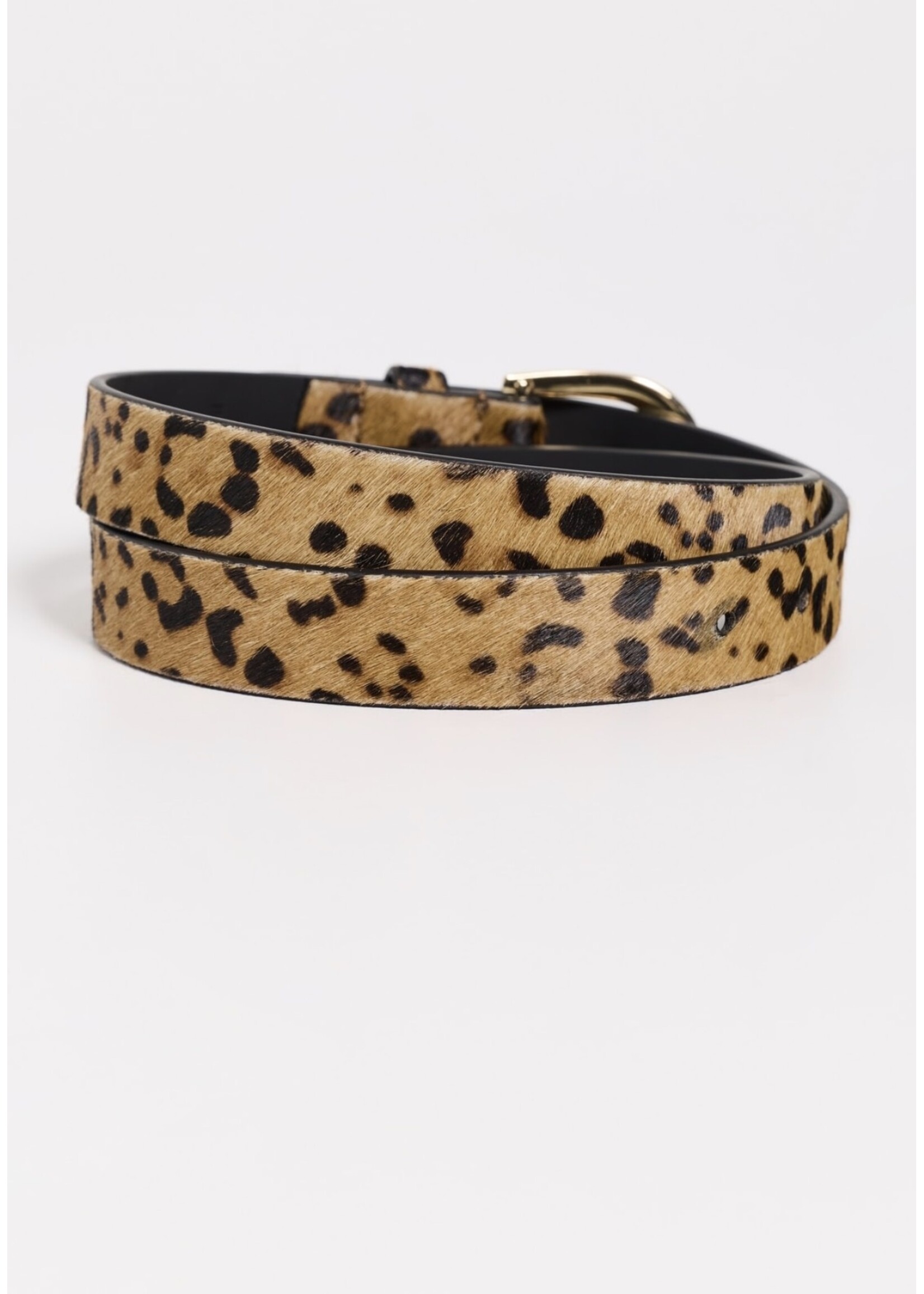 Favorite Daughter Favorite Daughter - Leopard Favorite Belt