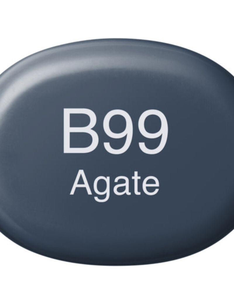 Copic Sketch Markers Agate (B99)