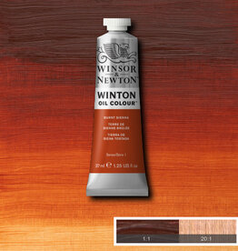 Winsor & Newton Winton Oil Colours (37ml) Burnt Sienna