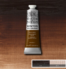 Winsor & Newton Winton Oil Colours (37ml) Burnt Umber
