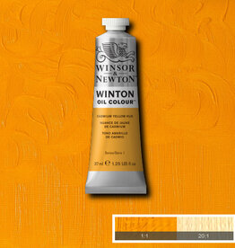 Winsor & Newton Winton Oil Colours (37ml) Cadmium Yellow Hue