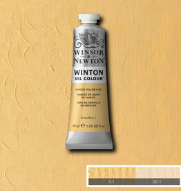 Winsor & Newton Winton Oil Colours (37ml) Naples Yellow Hue