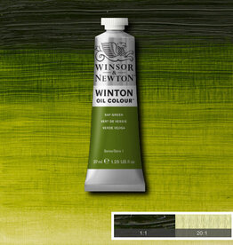 Winsor & Newton Winton Oil Colours (37ml) Sap Green