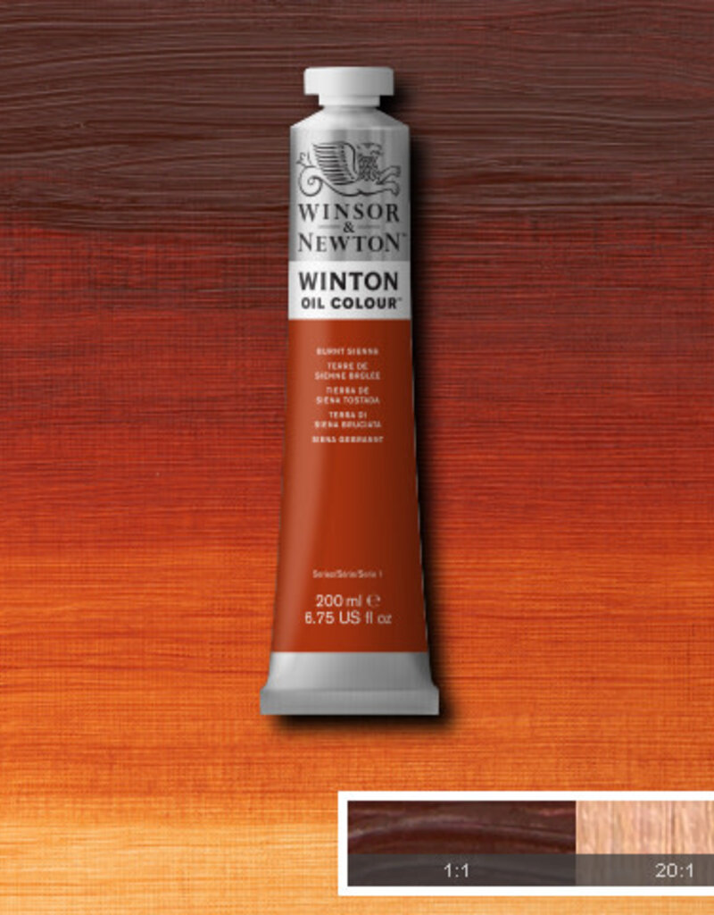 Winsor & Newton Winton Oil Colours (200ml) Burnt Sienna