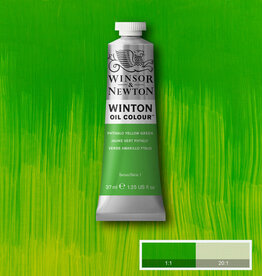 Winsor & Newton Winton Oil Colours (37ml) Phthalo Yellow Green