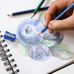 Art Alternatives Spiral-Bound Sketch Books