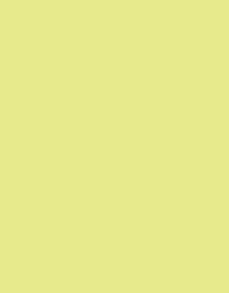 Rembrandt Soft Pastel Lemon Yellow 205.8