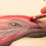 Pentel Oil Pastels