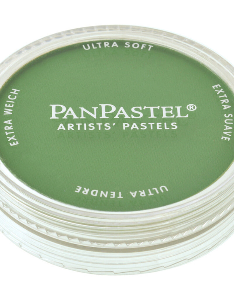 PanPastel Ultra Soft Painting Pastels (9ml) Chromium Oxide Green