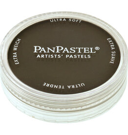 PanPastel Ultra Soft Painting Pastels (9ml) Raw Umber Extra Dark