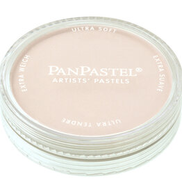 PanPastel Ultra Soft Painting Pastels (9ml) Raw Umber Tint