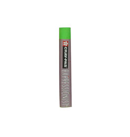 Cray-Pas Expressionist Oil Pastels Yellow Green