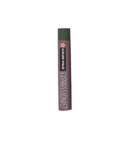 Cray-Pas Expressionist Oil Pastels Green Gray