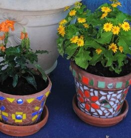 Diane Concepcion - Mosaic Flower Pot Workshop (Sunday 3/10 | 1-4pm)