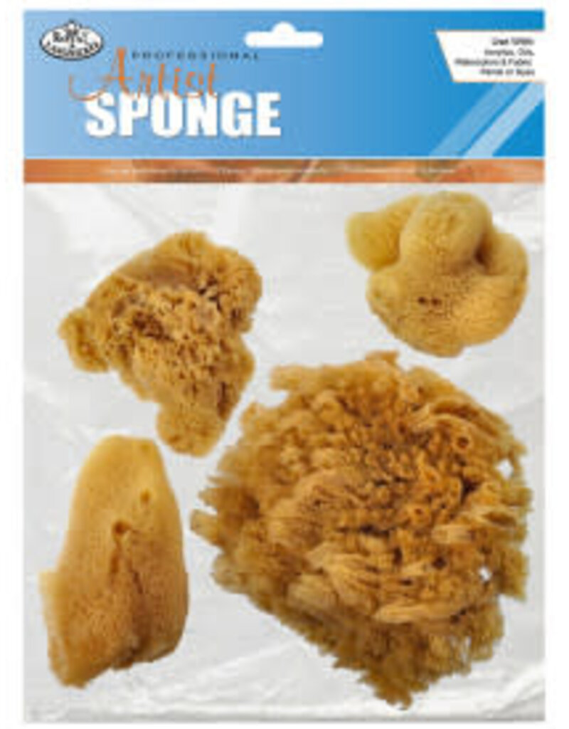 Royal Brush Sponge Set, Sea Silk