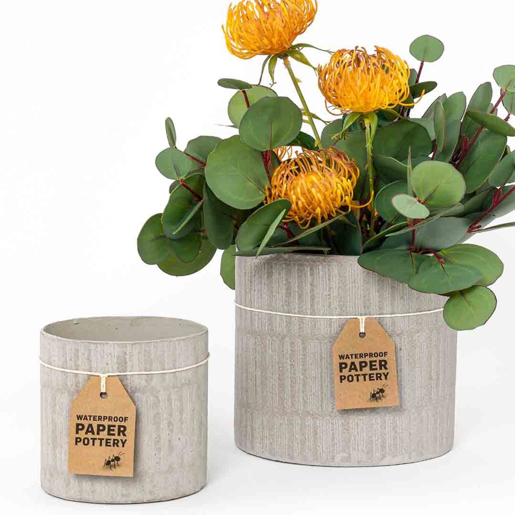 Waterproof Paper Pottery Cabarita Stone Pot Medium