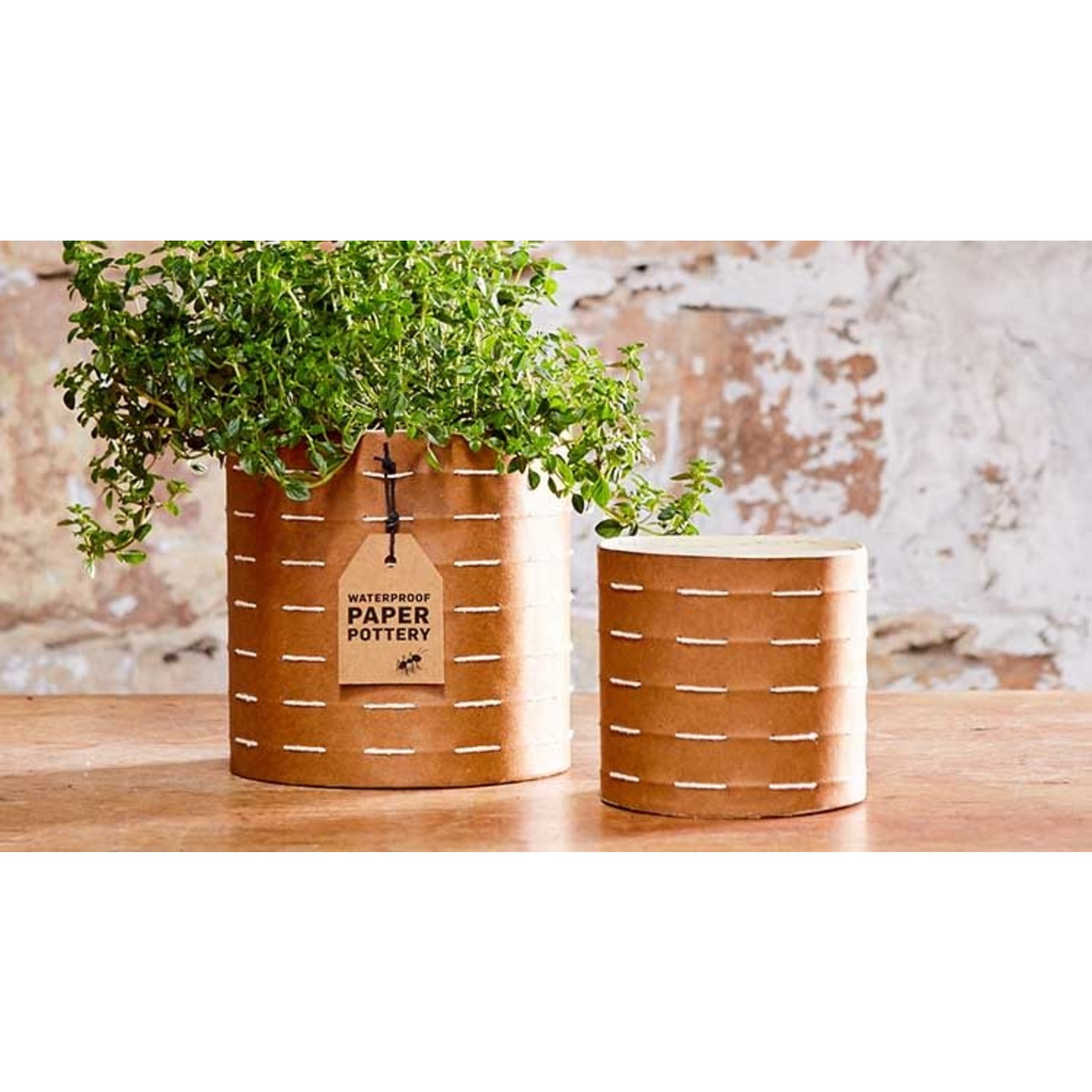 Waterproof Paper Pottery Caloola Pot White Medium
