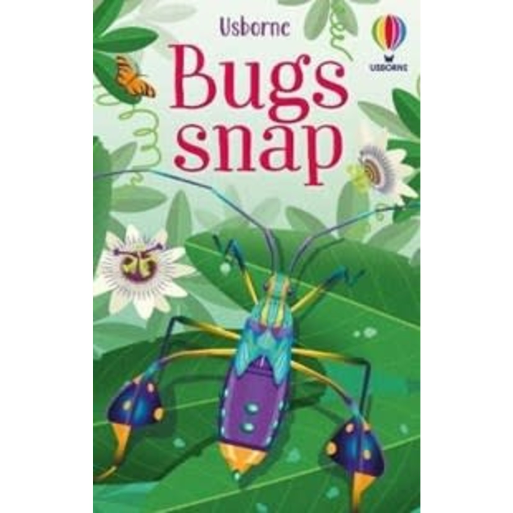 Usborne Usborne Snap Cards