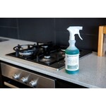 Enviroclean Enviroclean Heavy Duty All Purpose Cleaner