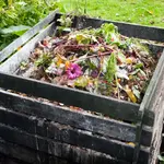 Gardening & Composting