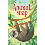 Usborne Usborne Snap Cards