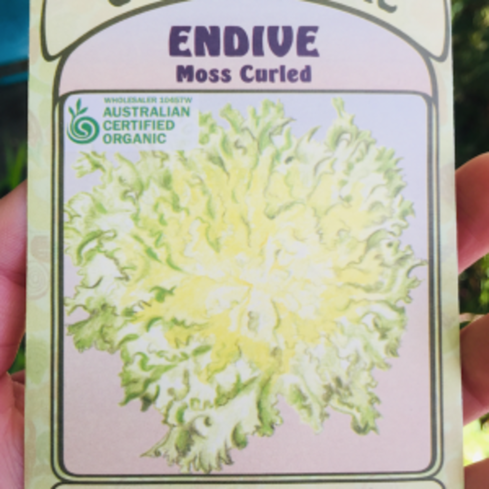 Eden Seeds Organic Seeds - A Great Time to Plant