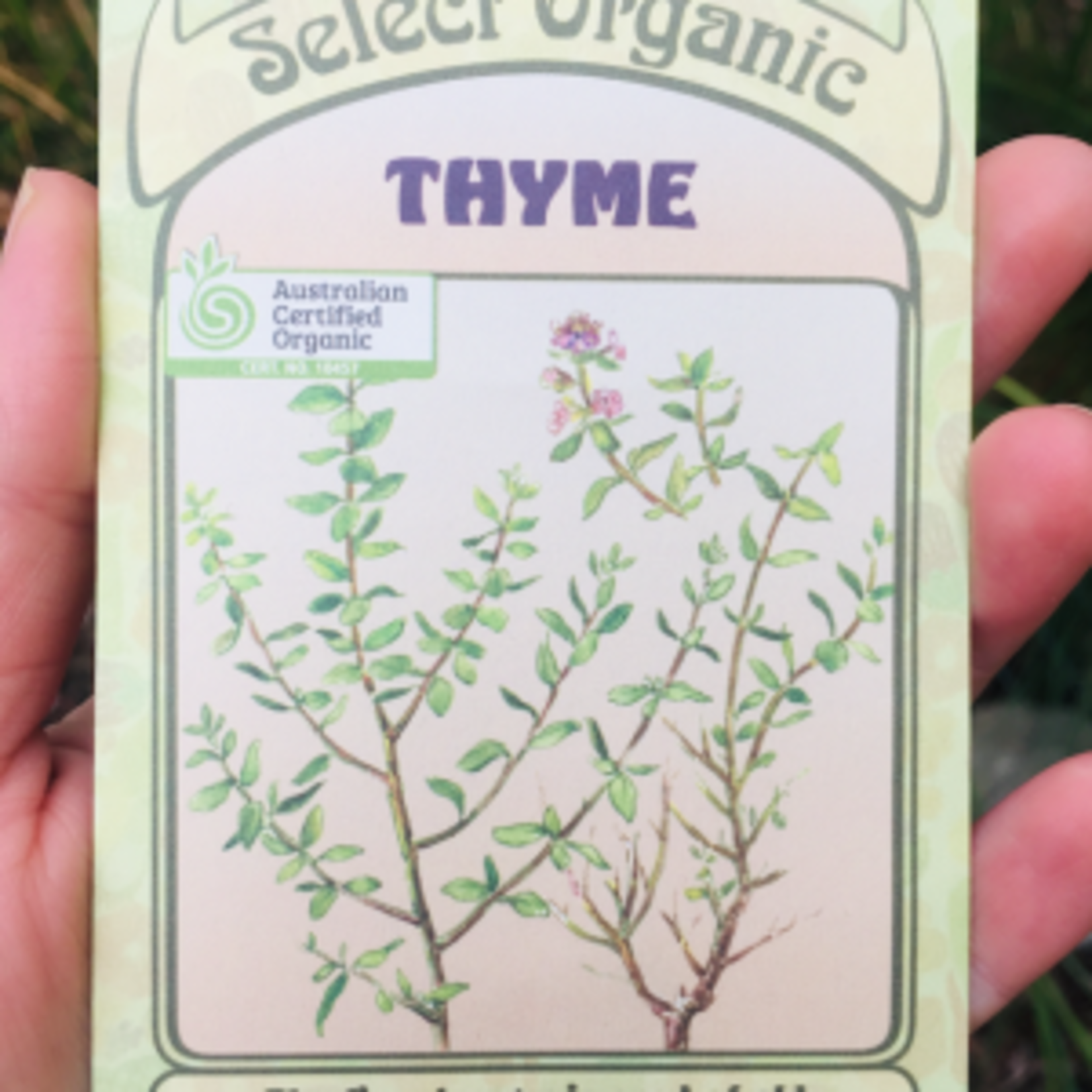 Eden Seeds Organic Seeds - A Great Time to Plant