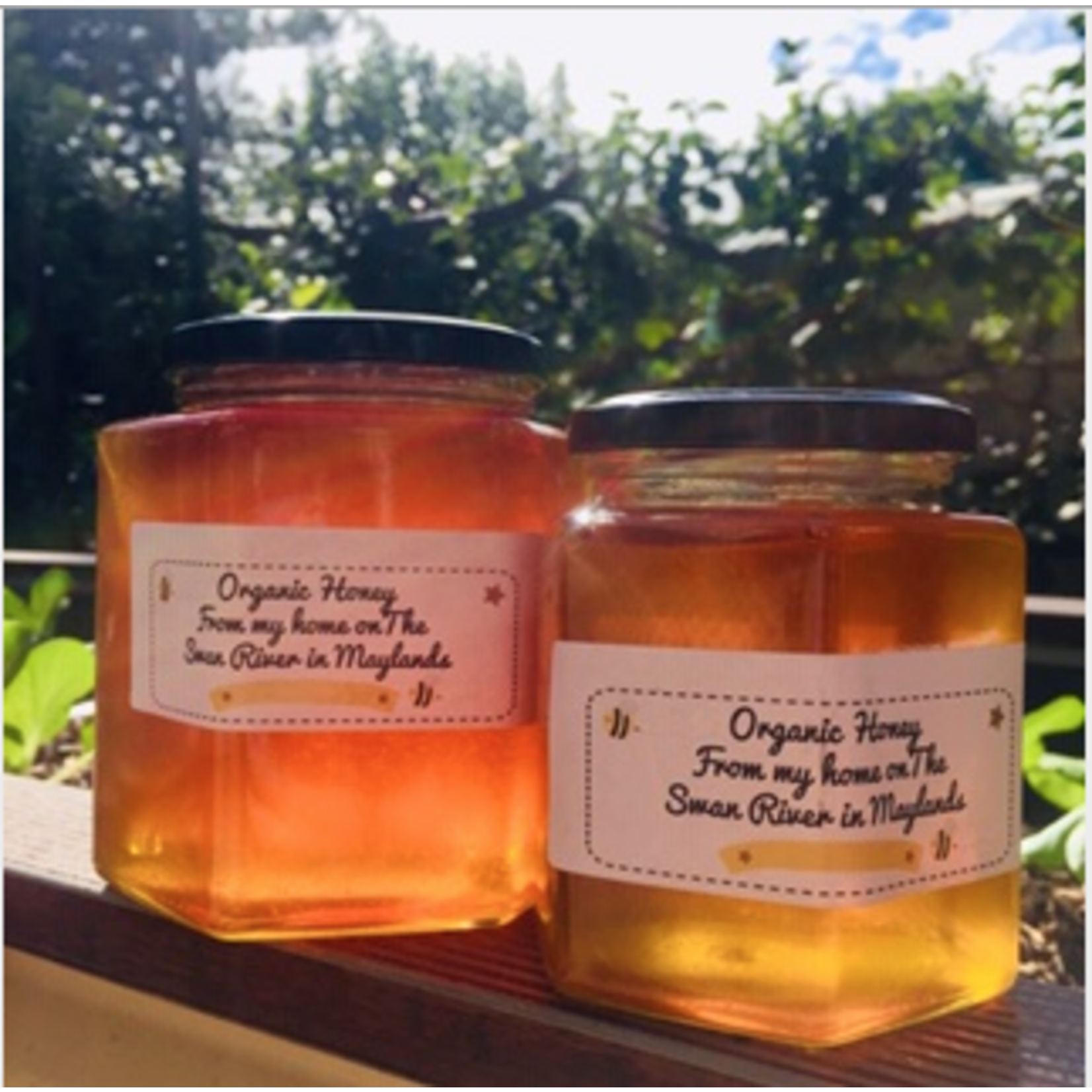 Michael's Organic Honey Michaels Organic Honey