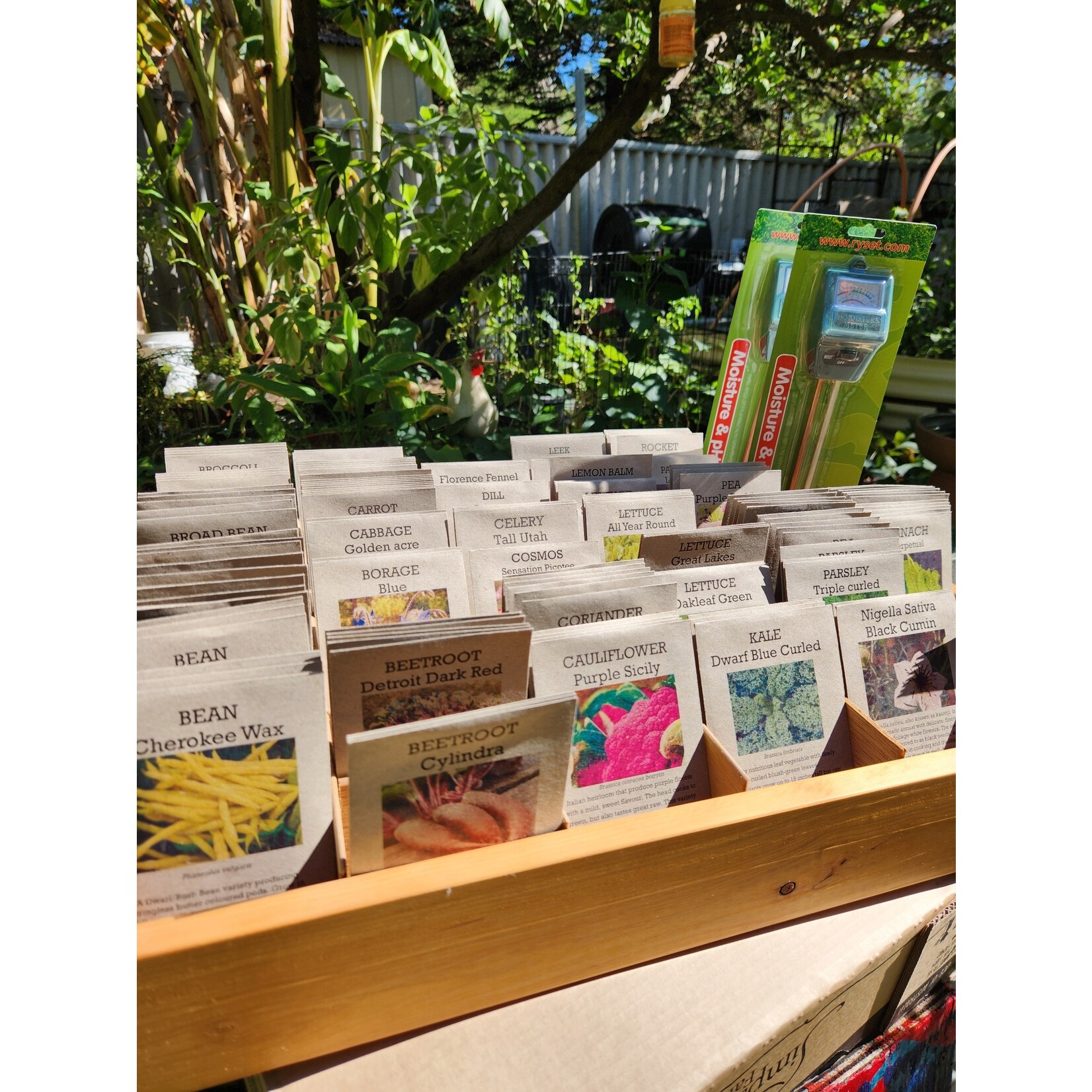Thrive Sustainability Seeds