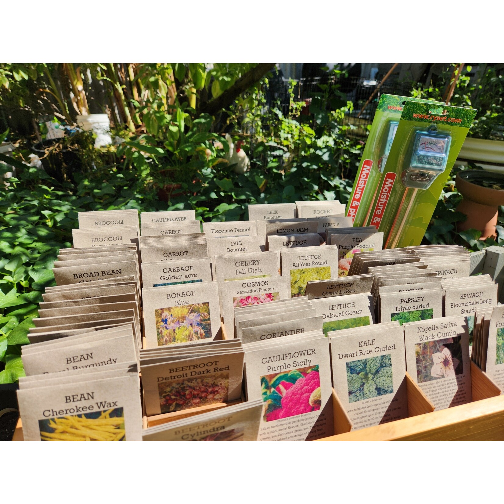 Thrive Sustainability Seeds