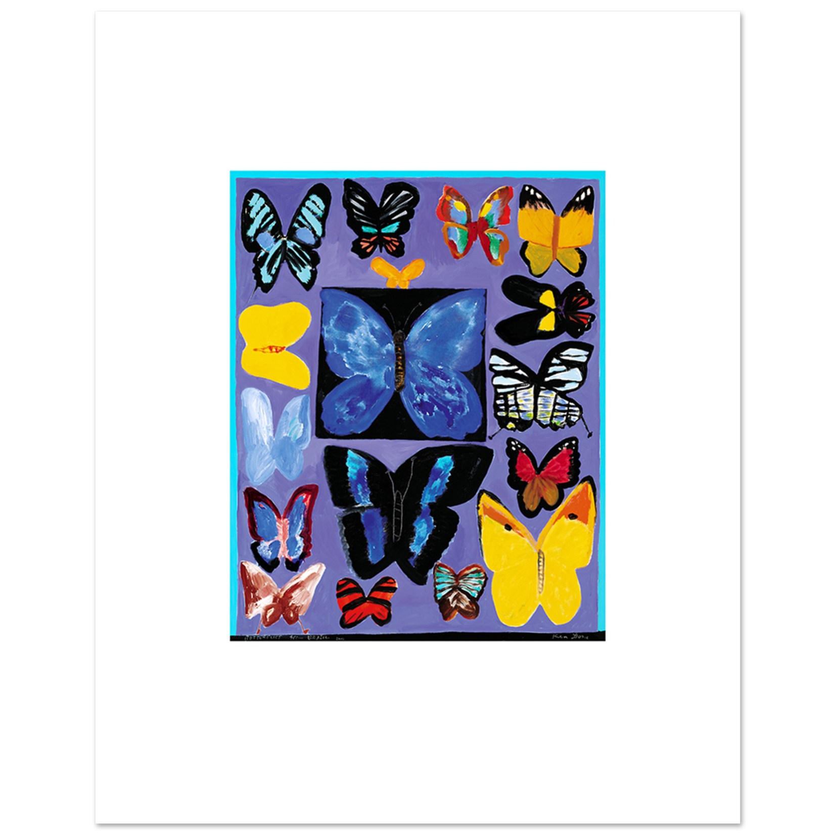 Limited Edition Prints Butterflies from Brazil, 2003