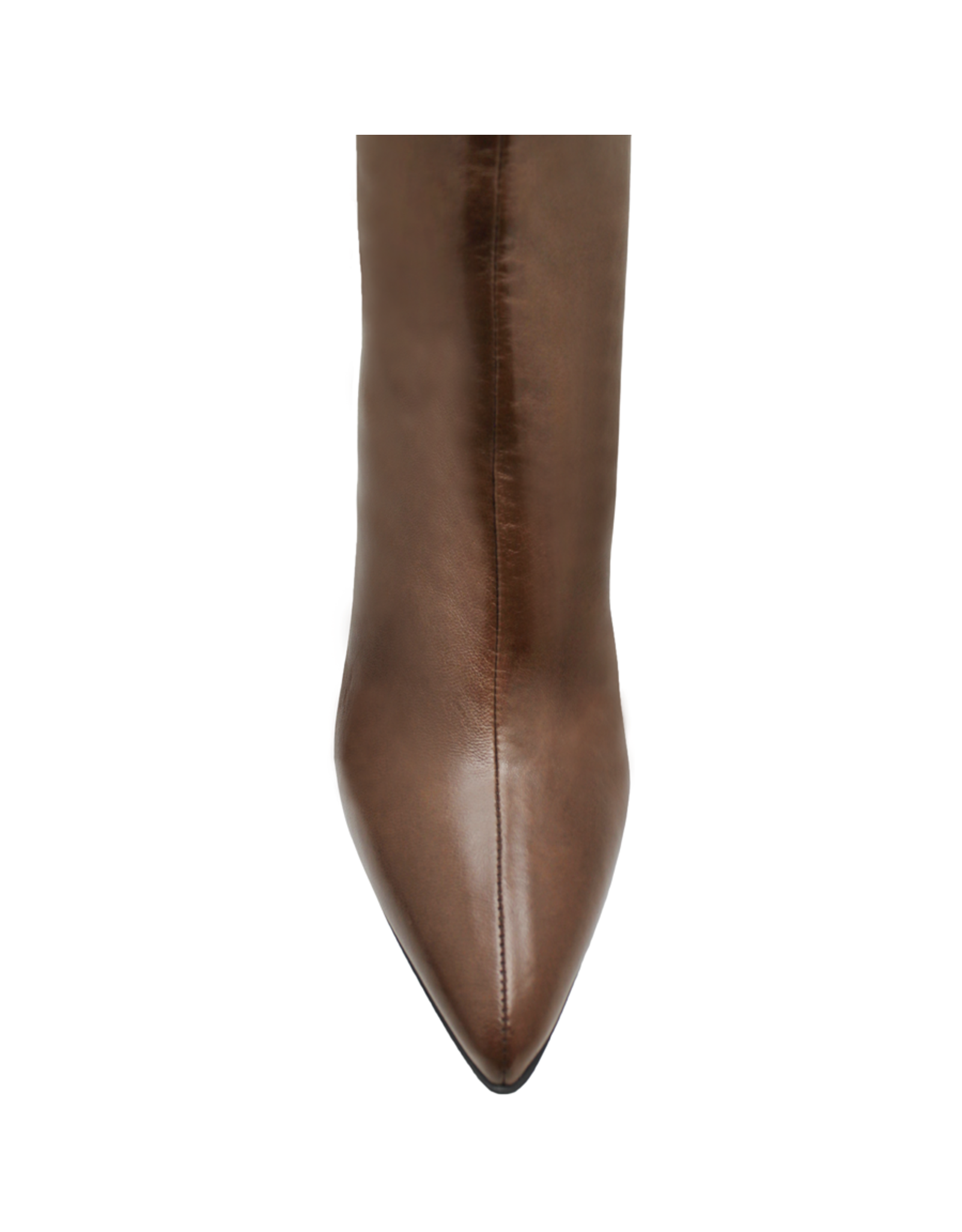 Halmanera Halmanera Brown Point Toe Knee Boot 2092