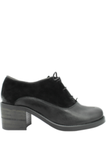 Anis Anis  Black Oxford Gaia