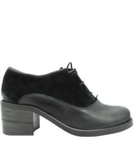 Anis Anis  Black Oxford Gaia