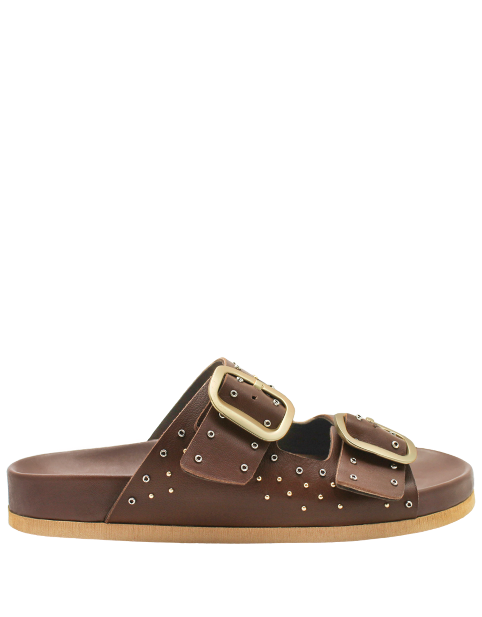 Antenora AT1J Brown Two Buckle Mule Lucas