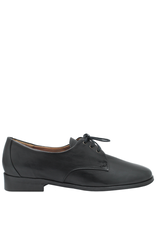 Everybody EveryBody E25Q Black Oxford Tinx