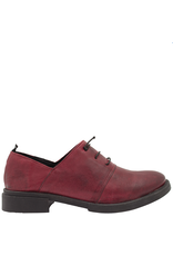History541 History HF2E Bordo Oxford Kit
