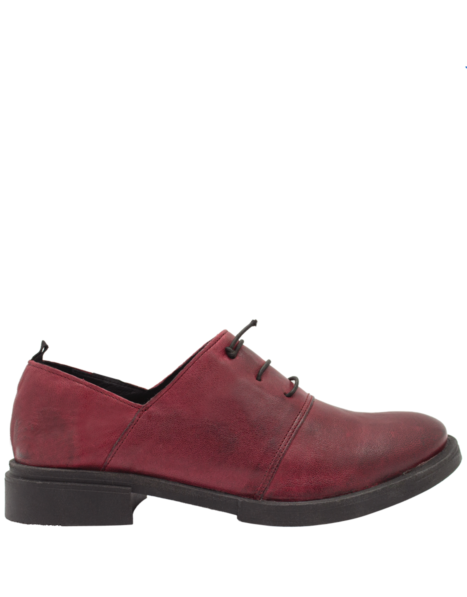 History541 History HF2E Bordo Oxford Kit