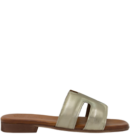 Nuova Nuova N1V Gold H-Mule Cece