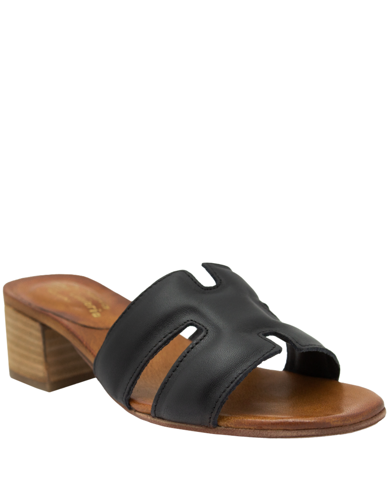 Nuova Nuova N1X Black Mule With Block Heel 5051