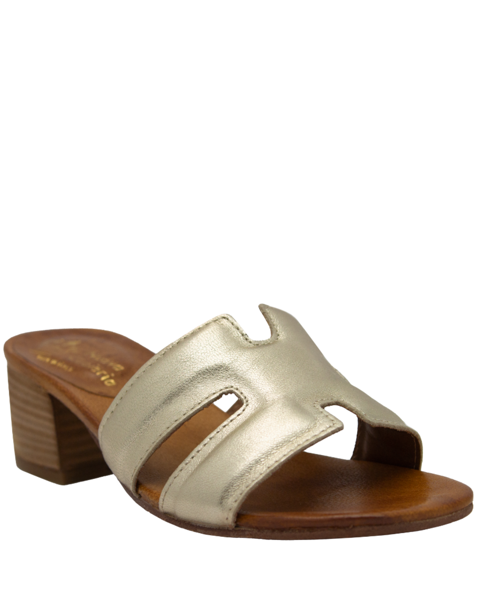Nuova Nuova N1Y Gold Mule With Block Heel 5051