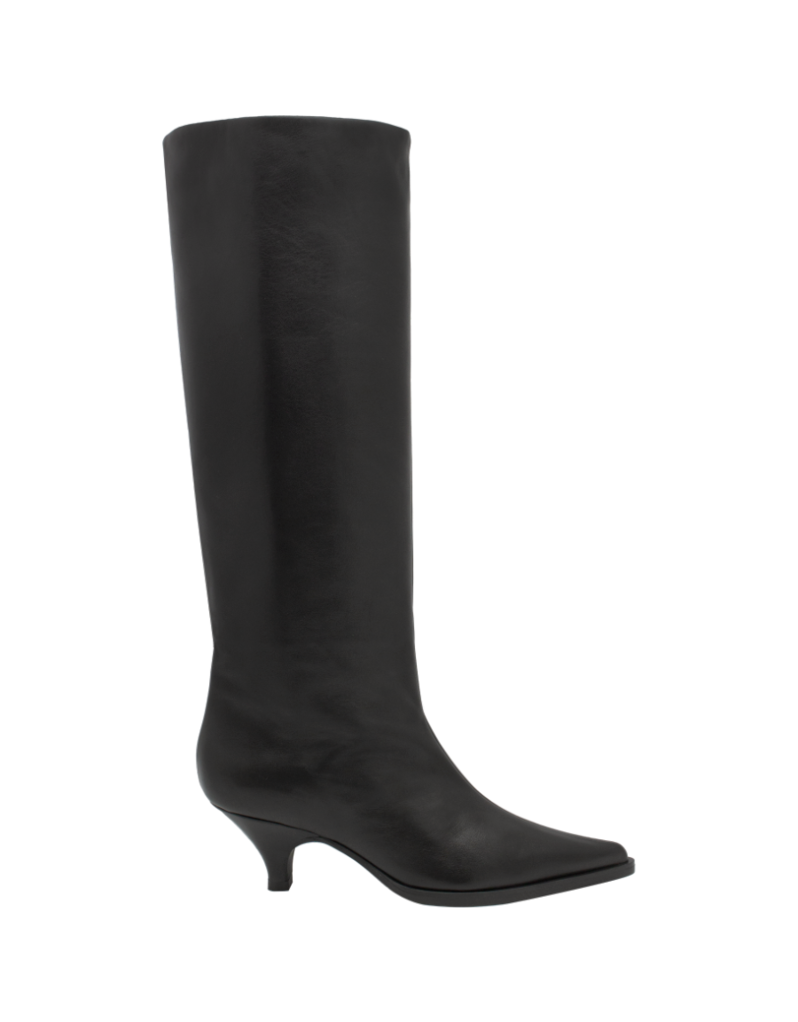 ElenaIachi ElenaIachi EI59R Black Point Toe Knee Boot 4301