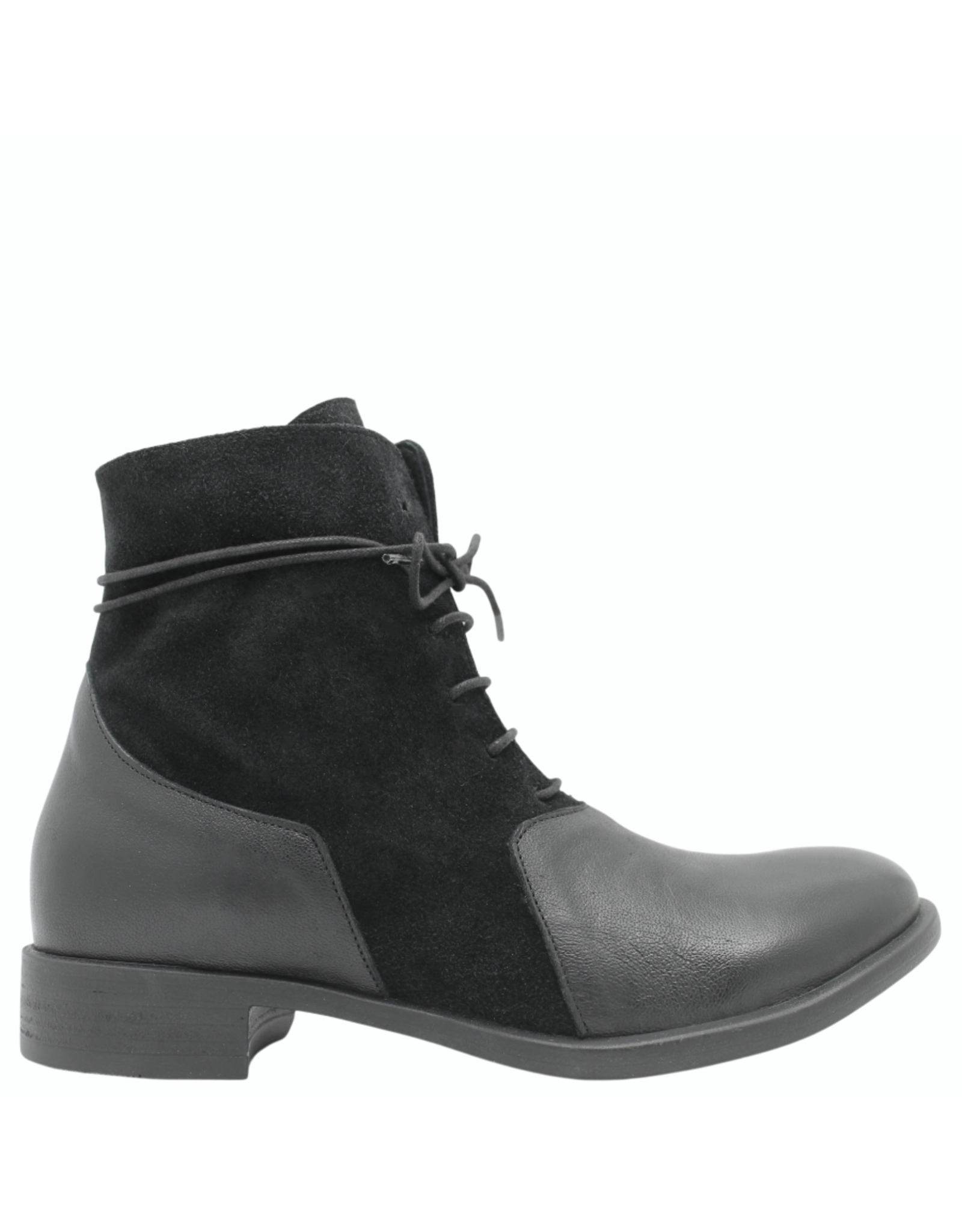 Anise Anise AS6F Black Lace Up Boot With Suede Melody