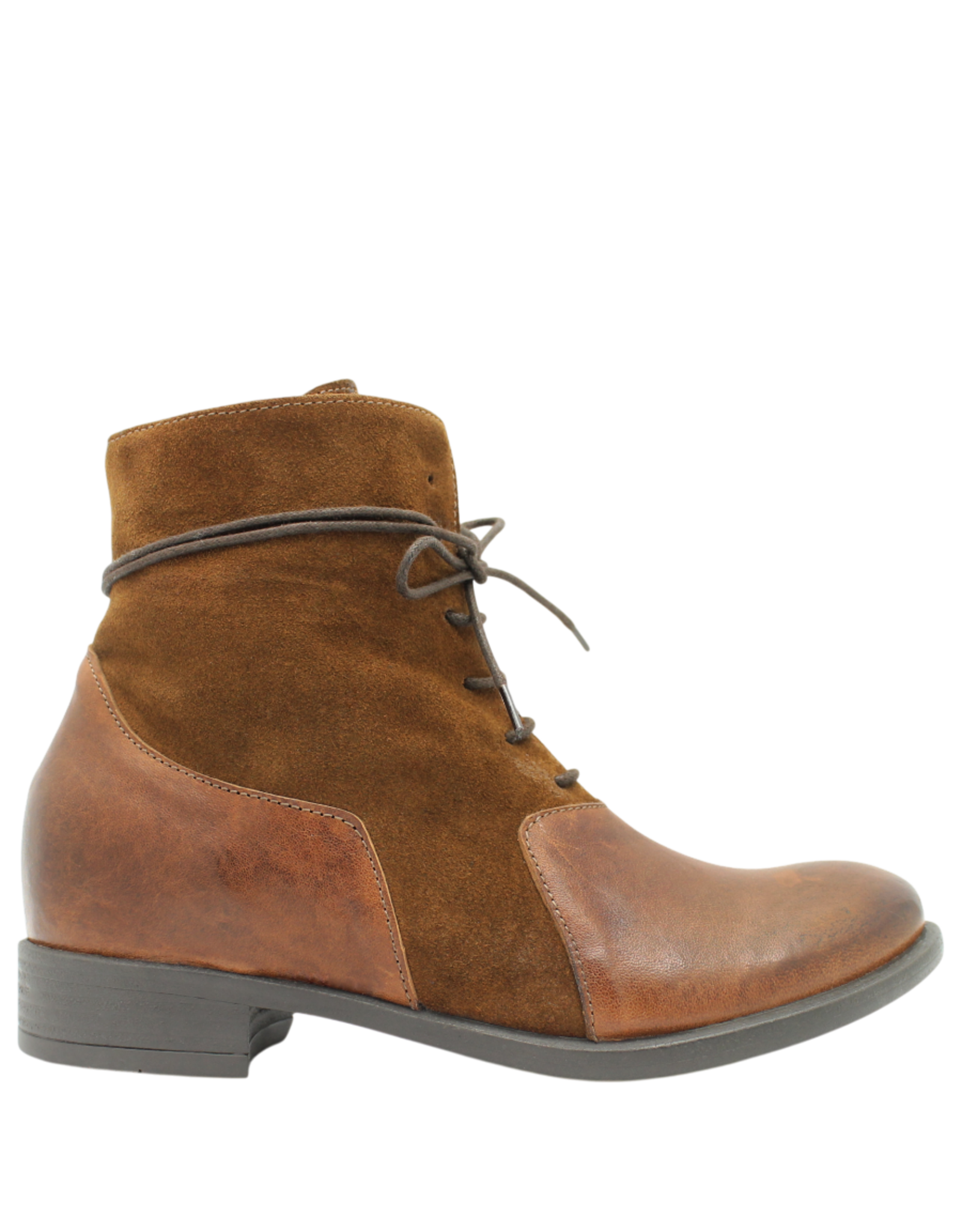 Anise Anise AS6G Camel Lace Up Boot With Suede Melody