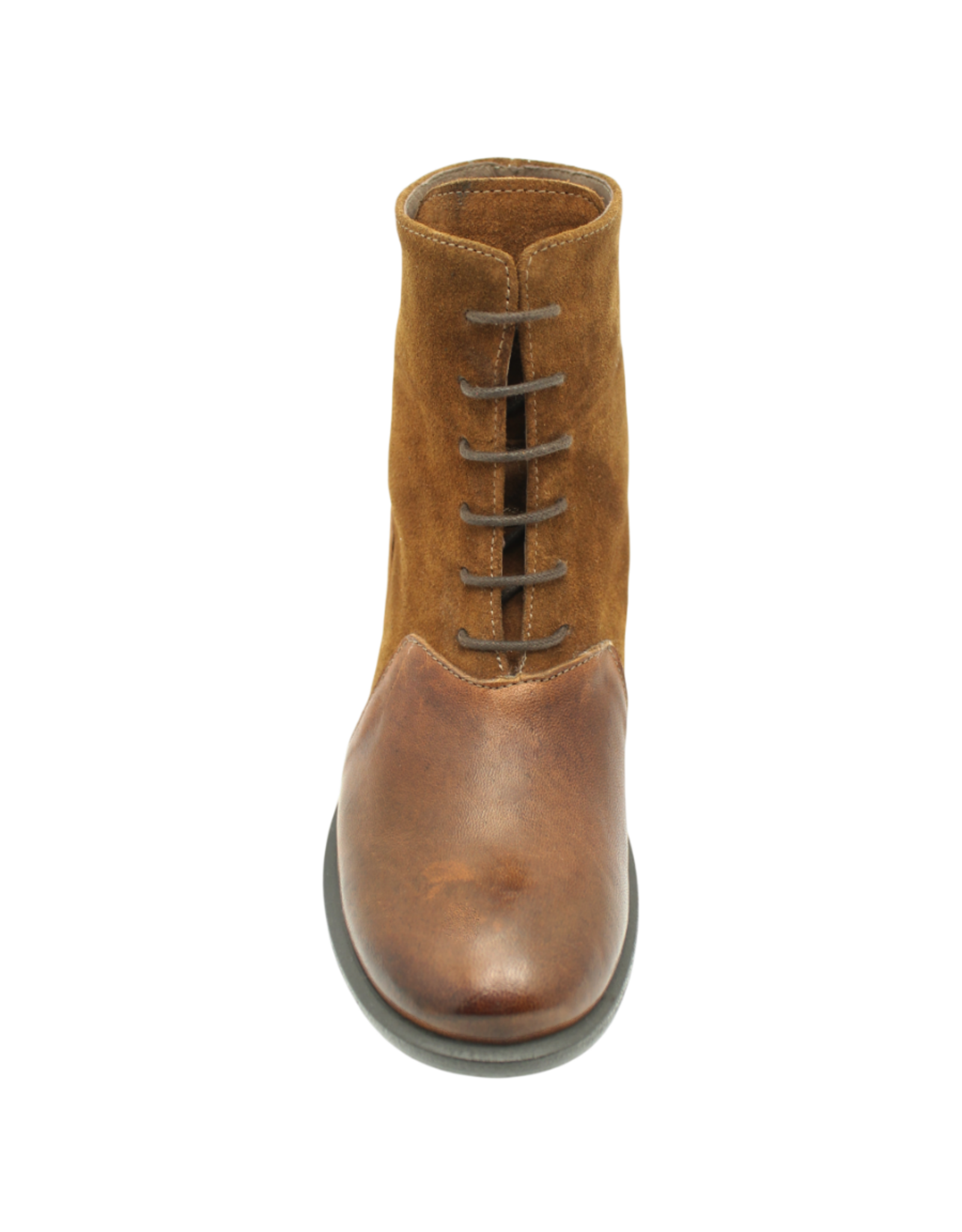 Anise Anise AS6G Camel Lace Up Boot With Suede Melody