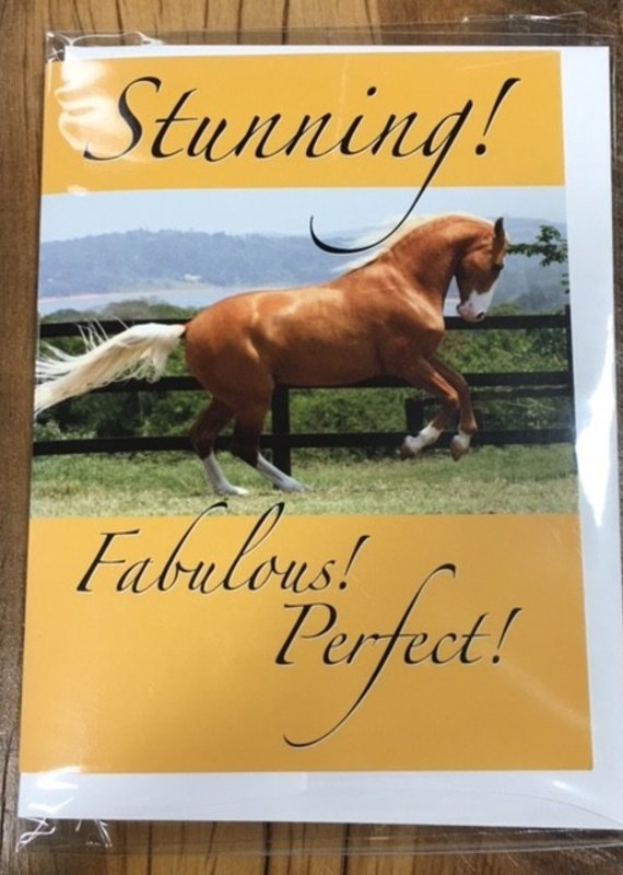 Palomino Style Card